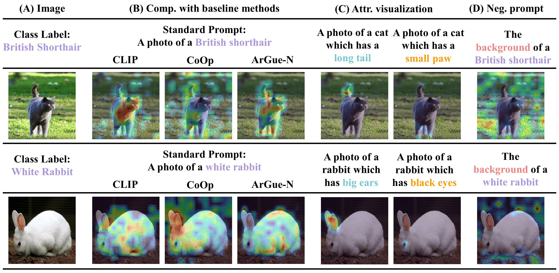 Grad-CAM Visualization