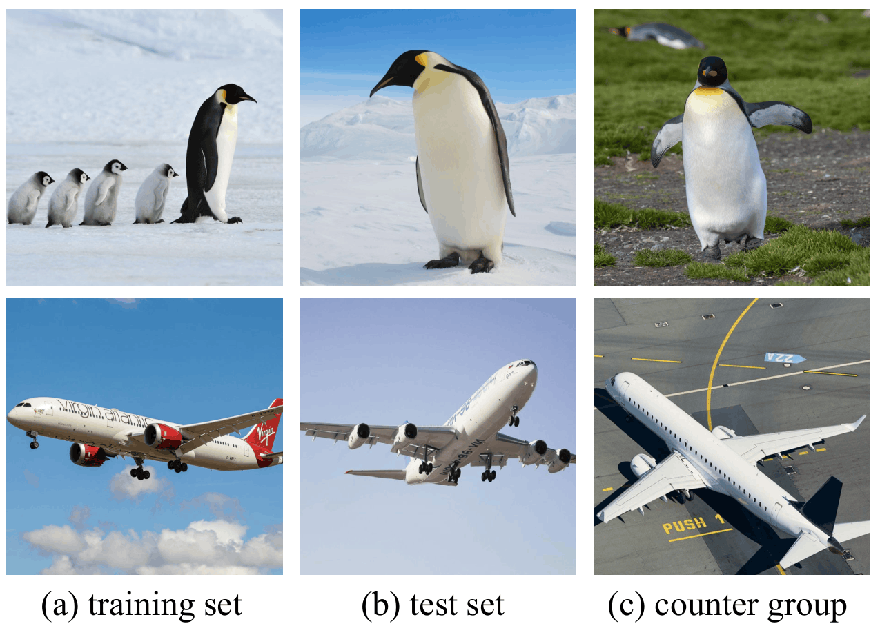 Counter Group Evaluation Results